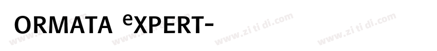 Formata Expert字体转换